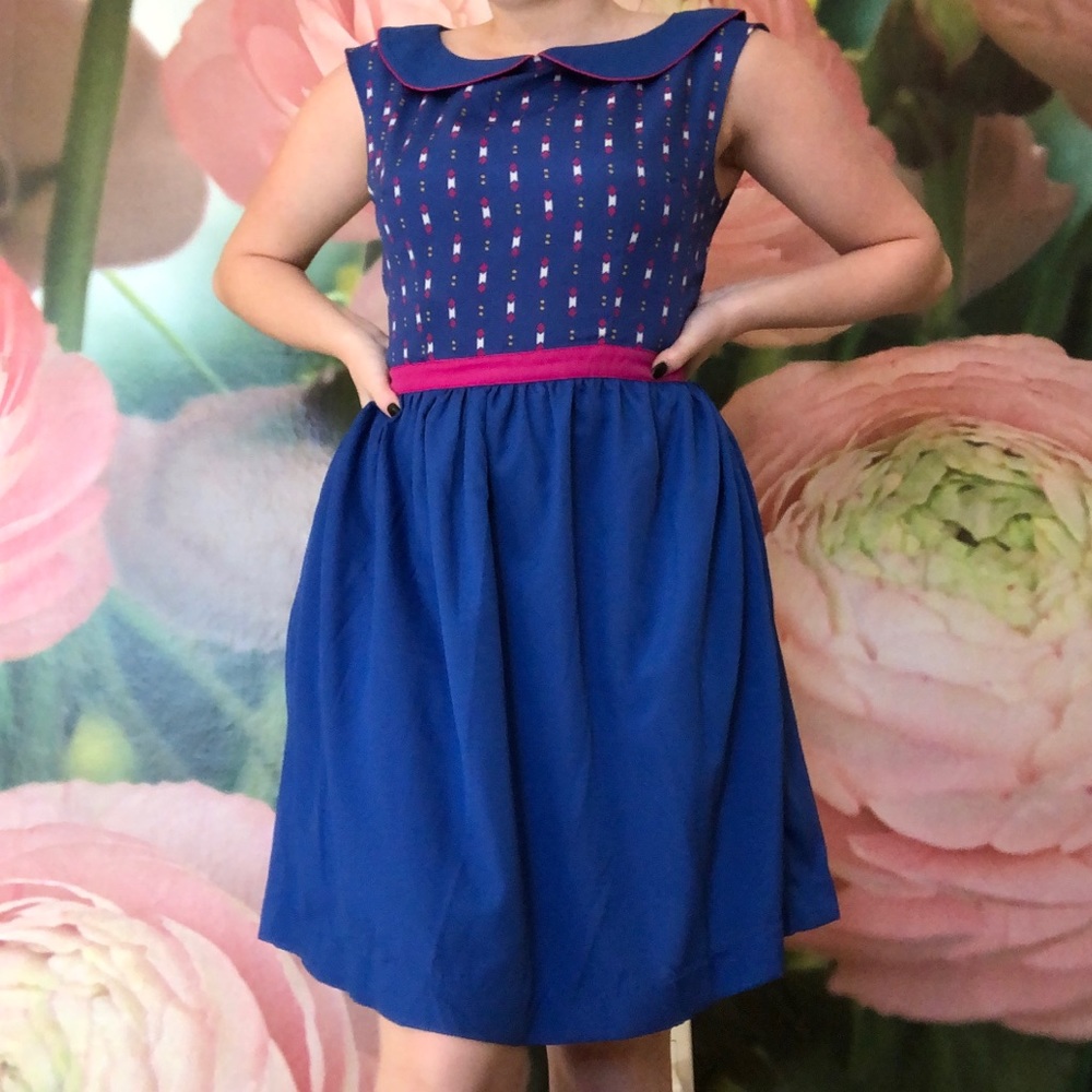 Blue and Pink Anthro Dress